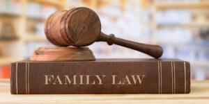 Family Law Matters: How to Navigate Legal Challenges